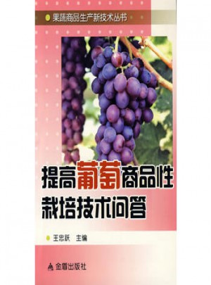 提高葡萄商品性栽培技術(shù)問答