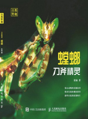 螳螂：刀斧精靈