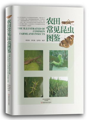農田常見昆蟲圖鑒