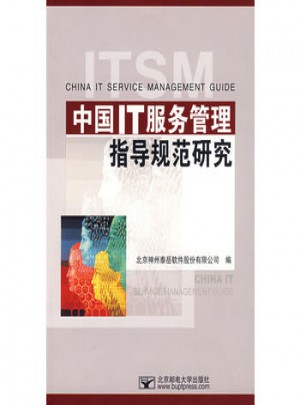 中國IT服務管理指導規范研究
