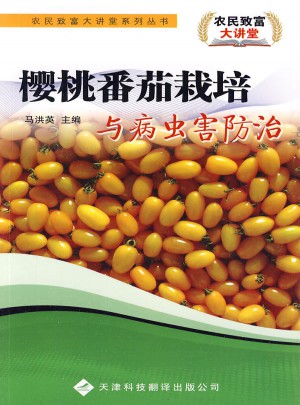 櫻桃番茄栽培與病蟲害防治
