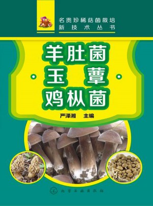 名貴珍稀菇菌栽培新技術(shù)叢書：羊肚菌·玉蕈·雞樅菌