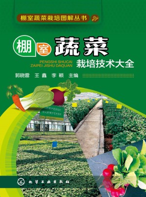 棚室蔬菜栽培技術(shù)大全