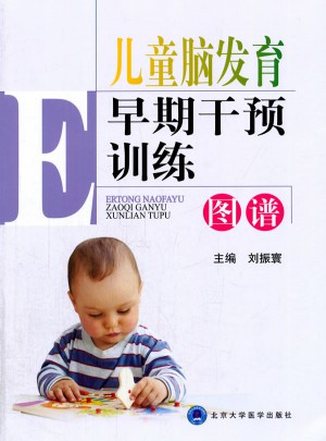 兒童腦發(fā)育早期干預訓練圖譜
