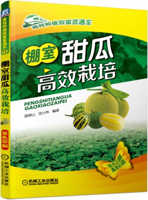 棚室甜瓜高效栽培