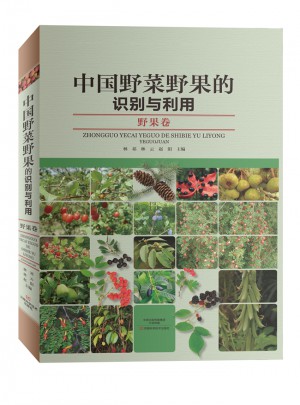 中國野菜野果的識別與利用：野果卷