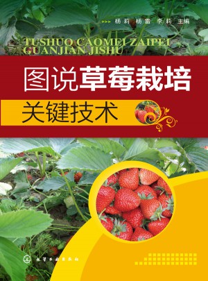 圖說草莓栽培關鍵技術