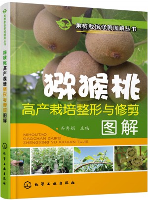 獼猴桃高產栽培整形與修剪圖解