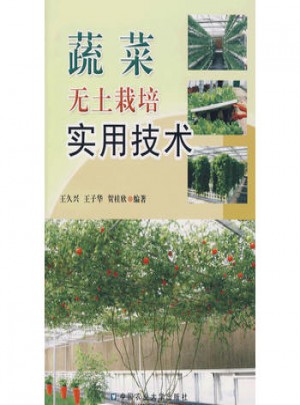 蔬菜無土栽培實用技術