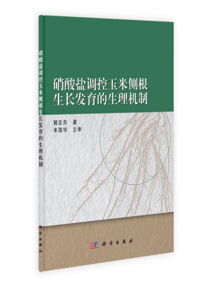 硝酸鹽調控玉米側根生長發育的生理機制
