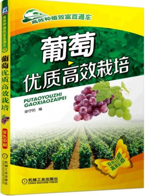 葡萄品質(zhì)高效栽培