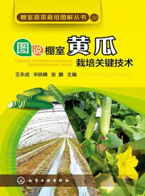 圖說棚室黃瓜栽培關鍵技術
