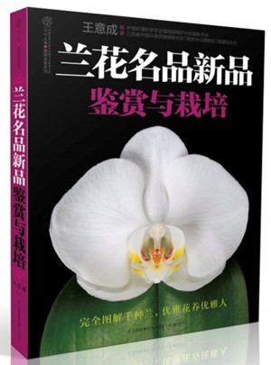 蘭花名品新品：鑒賞與栽培