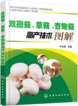 雙孢菇、草菇、杏鮑菇高產(chǎn)技術(shù)圖解