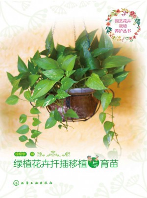 綠植花卉扦插移植與育苗