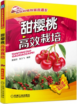 甜櫻桃高效栽培