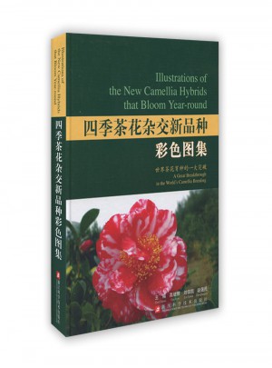 四季茶花雜交新品種彩色圖集