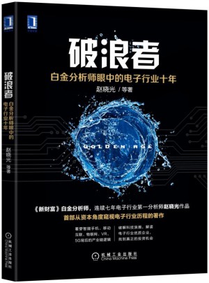 破浪者：白金分析師眼中的電子行業十年