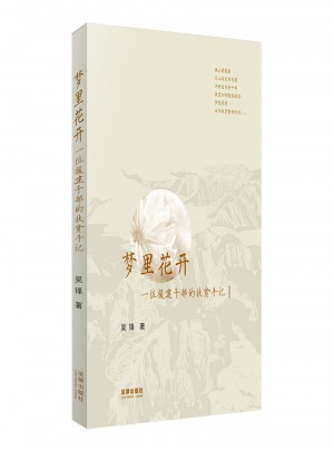 夢里花開：一位援建干部的扶貧手記