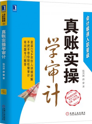 真賬實操學審計