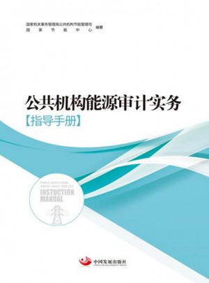 公共機構能源審計實務（指導手冊）