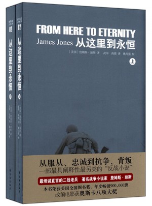 世界大戰叢書：從這里到永恒(上下)