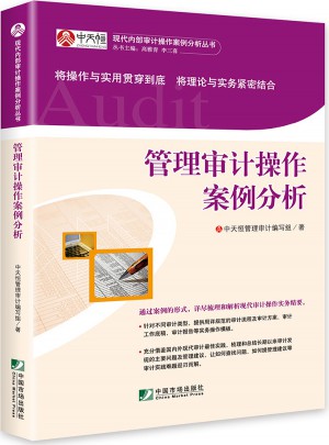 管理審計操作案例分析