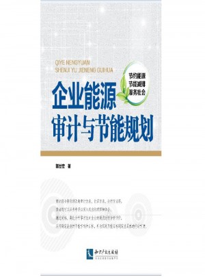 企業(yè)能源審計(jì)與節(jié)能規(guī)劃