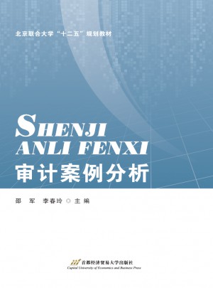 審計案例分析