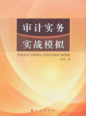 審計實務實戰模擬