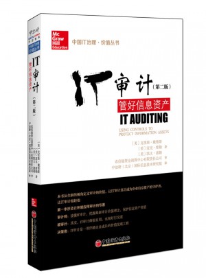 IT審計：管好信息資產(第2版)