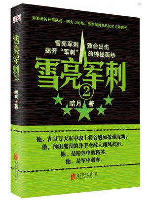 雪亮軍刺2