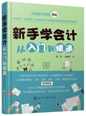 新手學(xué)會(huì)計(jì)從入門(mén)到精通