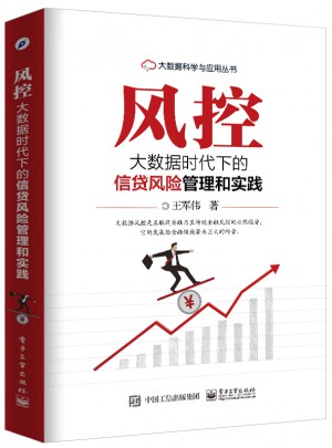 風控：大數據時代下的信貸風險管理和實踐