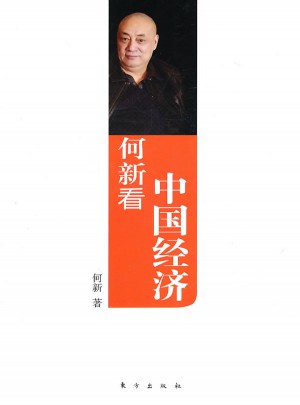 何新看中國經(jīng)濟