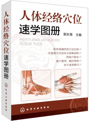 人體經(jīng)絡(luò)穴位速學(xué)圖冊