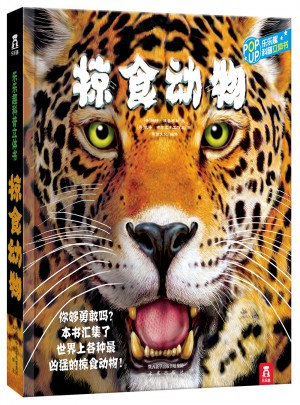 掠食動物
