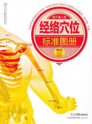 經(jīng)絡(luò)穴位標(biāo)準(zhǔn)圖冊（漢竹）
