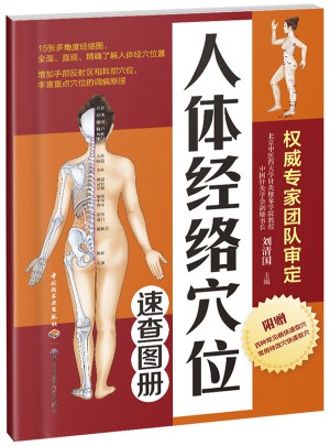人體經(jīng)絡(luò)穴位速查圖冊