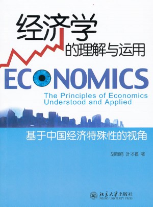 經濟學的理解與運用：基于中國經濟特殊性的視角