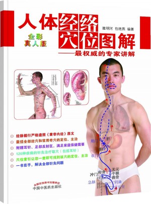 人體經絡穴位圖解