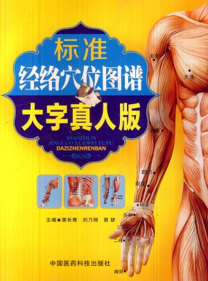 標準經絡穴位圖譜（大字真人版）