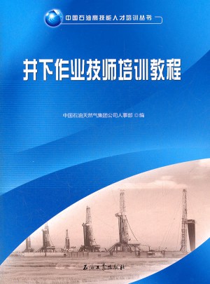 中國石油高技能人才培養叢書