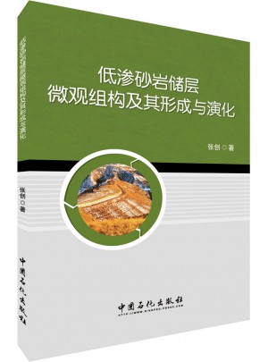低滲砂巖儲層微觀組構及其形成與演化