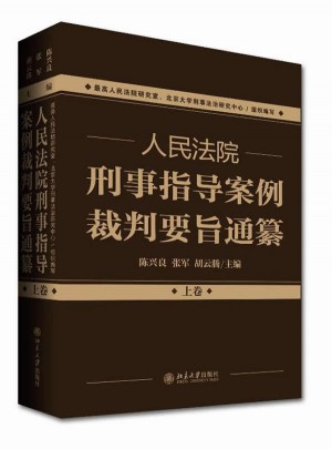 人民法院刑事指導案例裁判要旨通纂（上下卷）