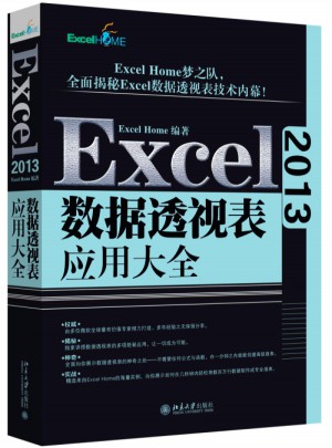 Excel 2013數(shù)據(jù)透視表應(yīng)用大全