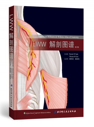 LWW解剖圖譜(修訂版)