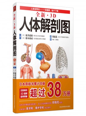 全新3D人體解剖圖