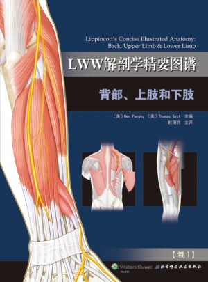 LWW解剖學精要圖譜·背部上肢和下肢