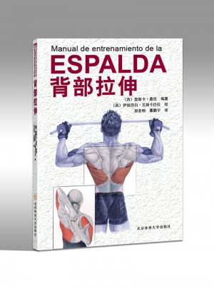 背部拉伸